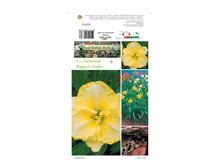 �������� ����� ���� -202