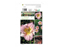 �������� �������� -182