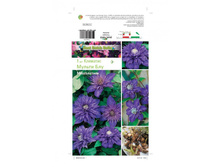 �������� ������ ��� -111