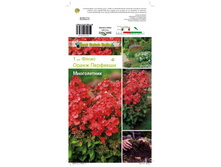 ����� ����� �������� - 67