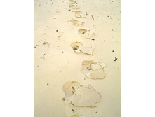 ����� �������������� ������