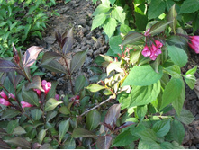 ������� 23.06.2009 