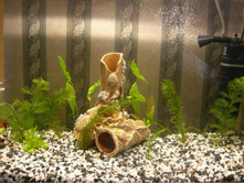 ���� 15 ���� �� ����