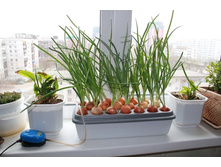 ��������� ����**��� ����**���