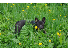 ���� 197.jpg