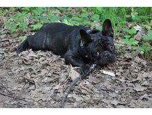 ���� 137.jpg