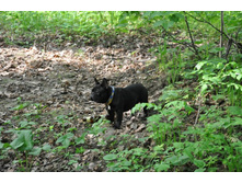 ���� 155.jpg