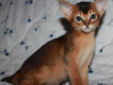 ����������� 1066.jpg