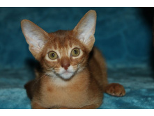 ����������� 402.jpg