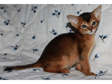 ����������� 1112.jpg