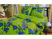 �������: 	546800