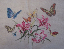 ������� � �����.JPG