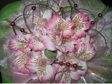 ����� �� ������������