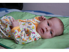 ������ �����_������ �����.JPG