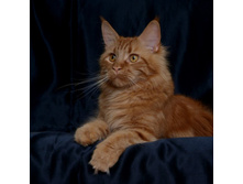 DSCF1362 (�����).jpg