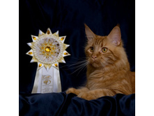 DSCF1368 (�����).jpg