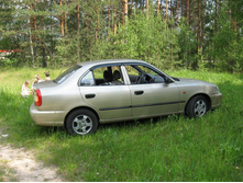 �� ���� �������