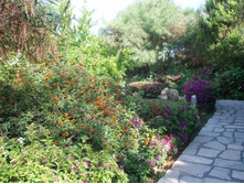 ������� � �-�� ���� ����������.