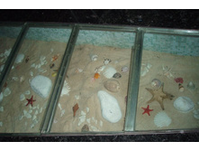 ���������� ������� �� ���� � ���� ���������.