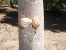 ������ � ���-�� ��������