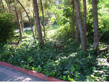 ����� ����� ������� � �������� � �������� �������