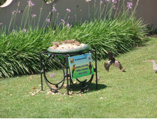 ��� ������ �� ���������� ����������� ��������. ������� ������� �� ��������� ��� ;)