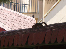 ����� ����� � ������..