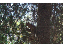 ���������������� ��������� � ������..