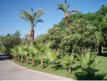 ���������-������