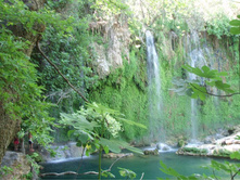 ������� � ����� Kursunlu Sulalesi