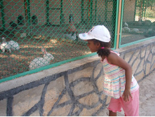 � ������ � ��������� ����������� ������ �����.