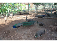 ������ ��� � �� �������� ���� �����..