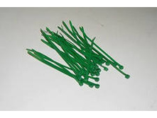 ����� ����������� 