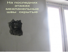 IMG_1375.jpg