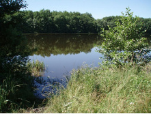 ��. ����������