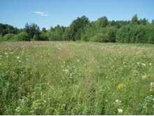 � ��� �� ������ ���������� ���� ������)))