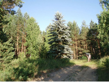 ���� ����!!! ������ ����� ������� ���?