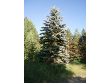 ���������!!