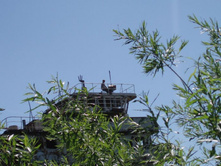 � ��� �������)))