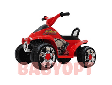 ������������� Fast Rider ( Amalfy ), 1800�