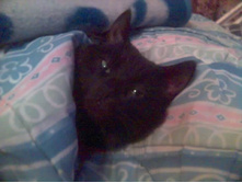 ����� ������� � ������� ������