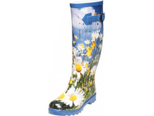 ������ ��������� \\