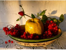 0_56310_e1a10acd_-2-XL.jpg