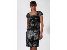 Z-4208/1 ZM ���� 1550