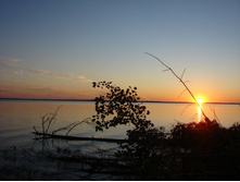 ����� ������� ���