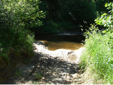 ���� ����� �����