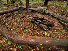 ����� � ������ ����� �� ������ 