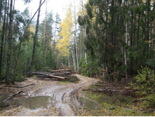 ������ � ������������ �������� ����� ������� �������