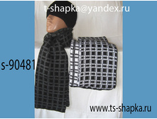 ��� s-90481 - 170�