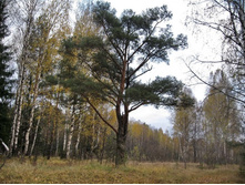 �� ���� �������, �� ������ �� ��������, � ����� �����, ��� �� � ��� ��������